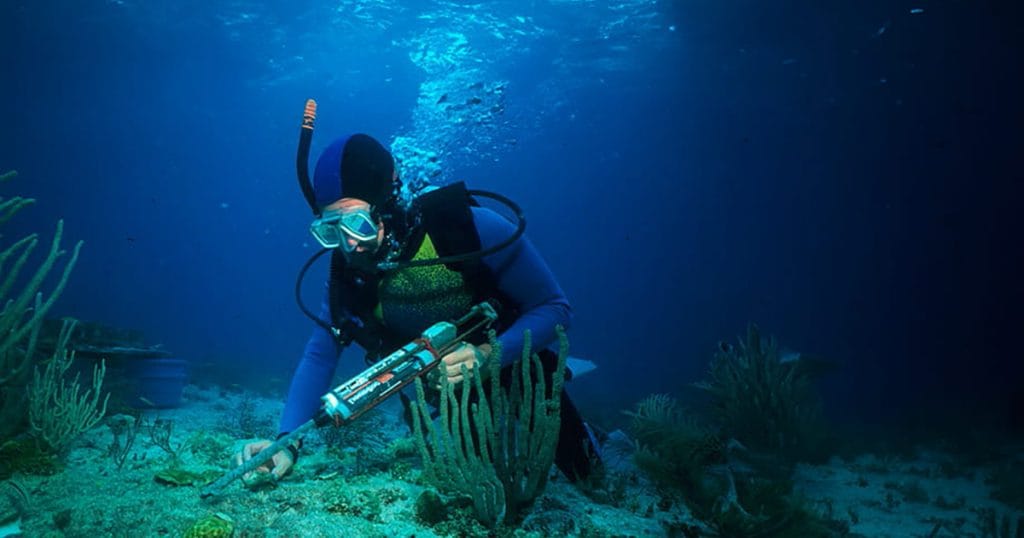 1-Coral-Relocation-in-Arabian-Gulf-Report.jpg