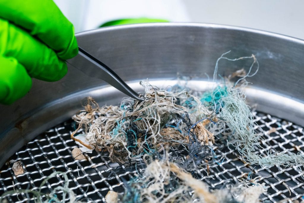 240516_Wet_Lab_Turtle_Stomach_Sampling_12-scaled.jpg
