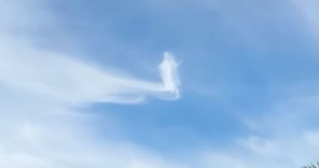 6254583.jpg