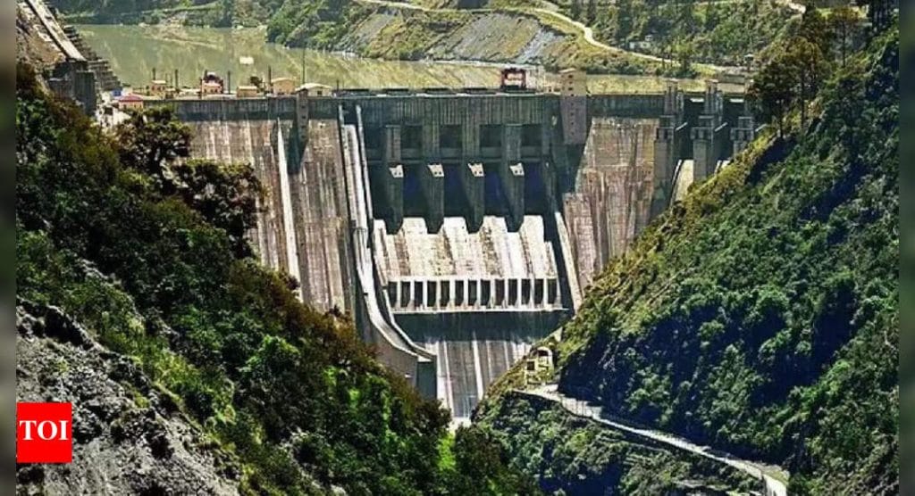 'Charade at Pakistan’s behest': India calls arbitration court under Indus treaty 'illegal'; rejects its authority | India News - Times of India