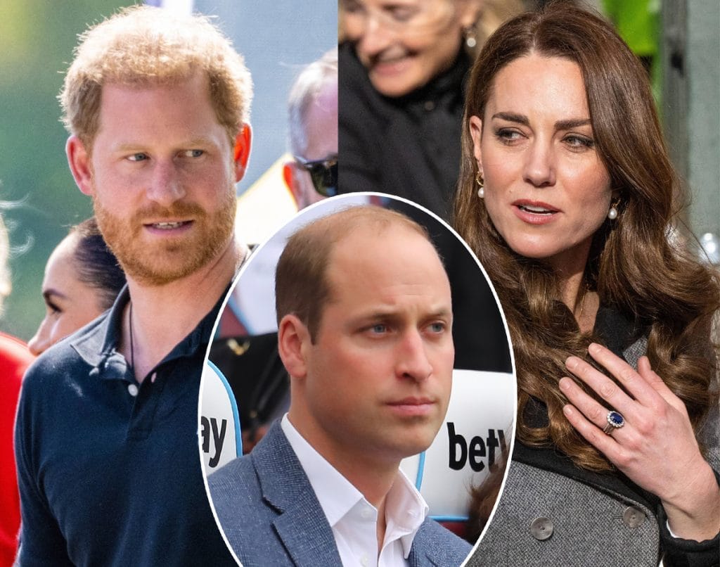 Charity Donor Caught Selling Access To Prince William & Princess Catherine - And She's Connected To Harry, Too! - Perez Hilton