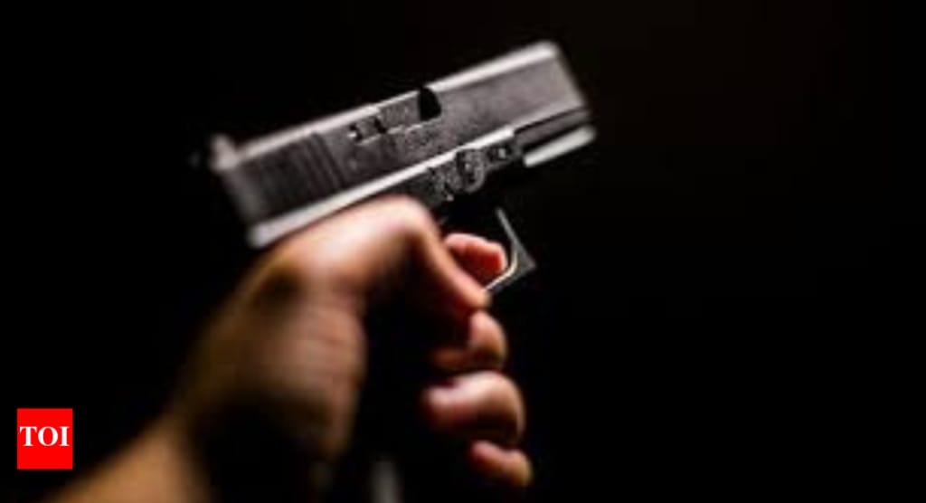 Idaho shooting: Firefighters attacked near Coeur d’Alene; two killed, gunman at large - Times of India