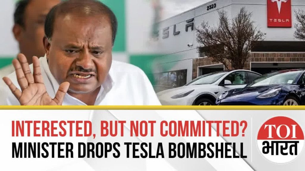 India Opens EV Doors For The World: Minister Drops Big Tesla Hint As Global EV Race Heats Up