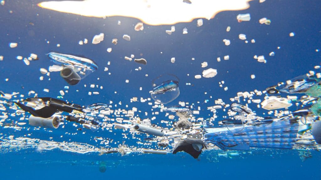 Medium-GPGP-Underwater-2019-Vellela-Screengrab.jpg