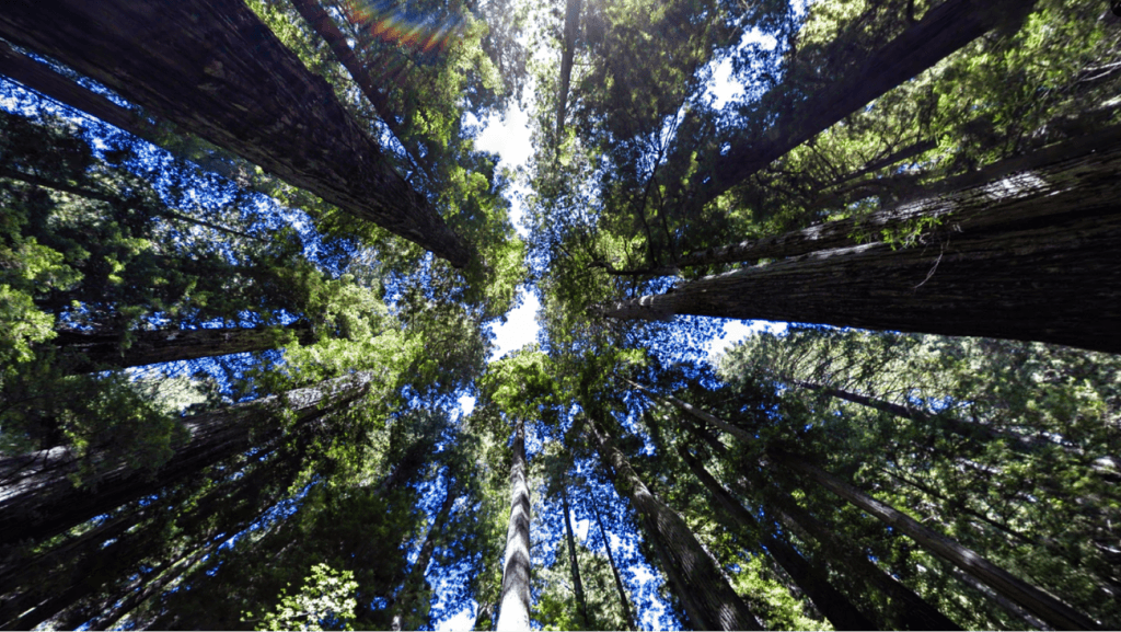 Read Google’s 10th annual Environmental Report