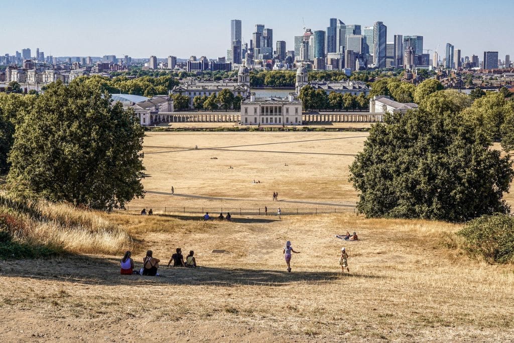 Scorched-grass-in-Greenwich-Park-London-England-during-a-heatwave-in-August-2022.-Photo-Alisdare-Hic.jpeg