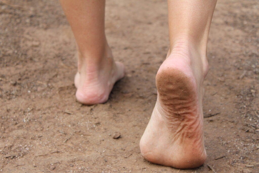 grounding-barefoot-trail-1024x683.jpg