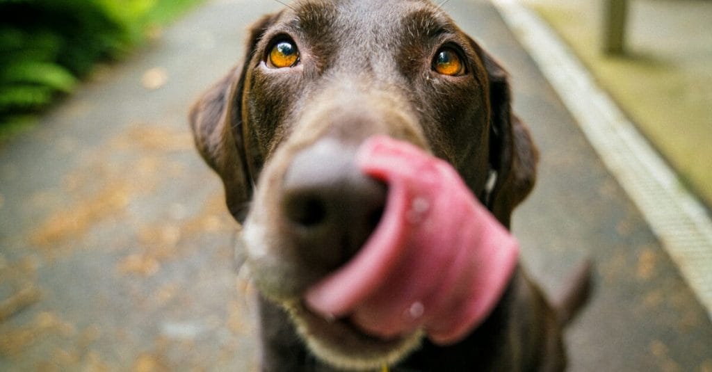 james-barker-v3-zcCWMjgM-unsplash-1200x627.jpg