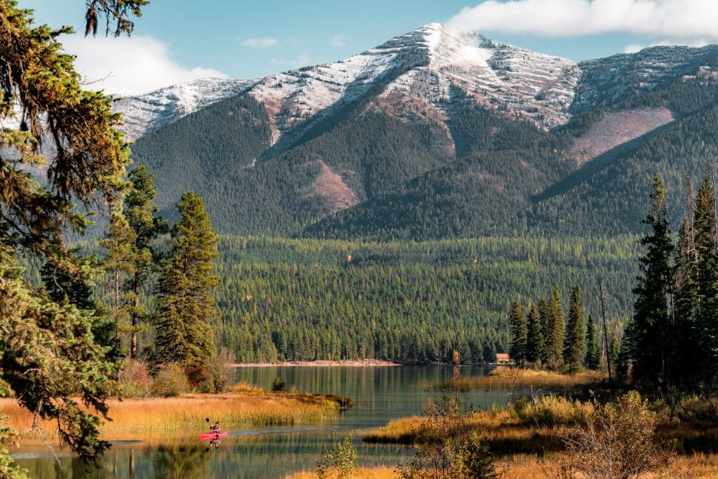 national-forests-scaled.jpg