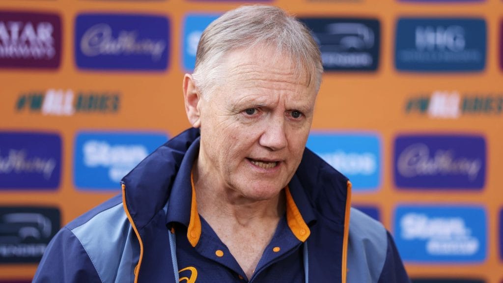 skysports-joe-schmidt-wallabies_6949414.jpg