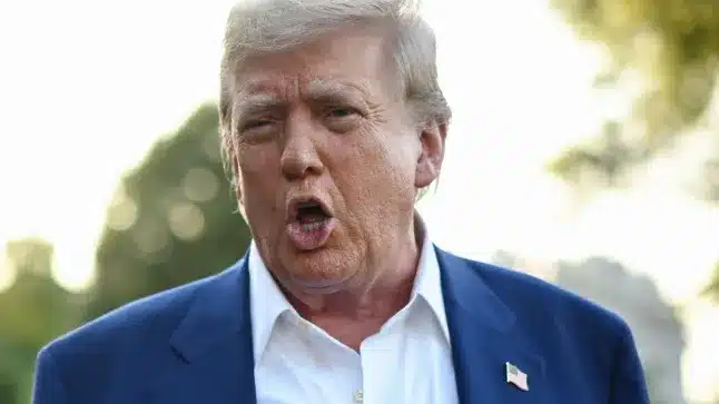 trump.webp.webp