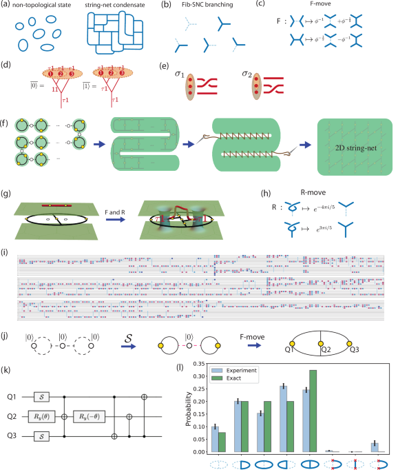 41467_2025_61493_Fig1_HTML.png