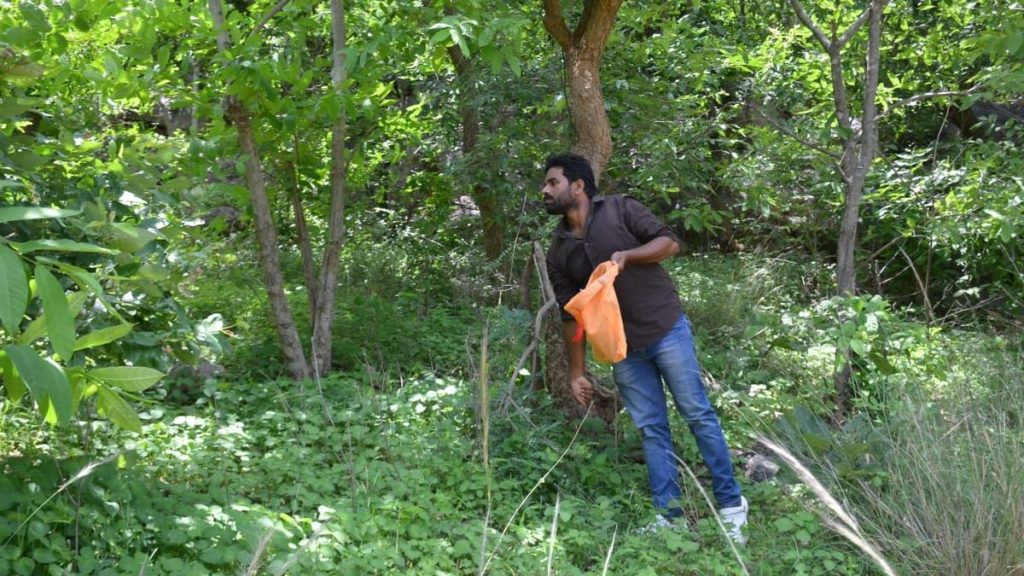 48 kg custard apple seeds dispersed in Telangana’s Sircilla forest to address human-monkey conflict
