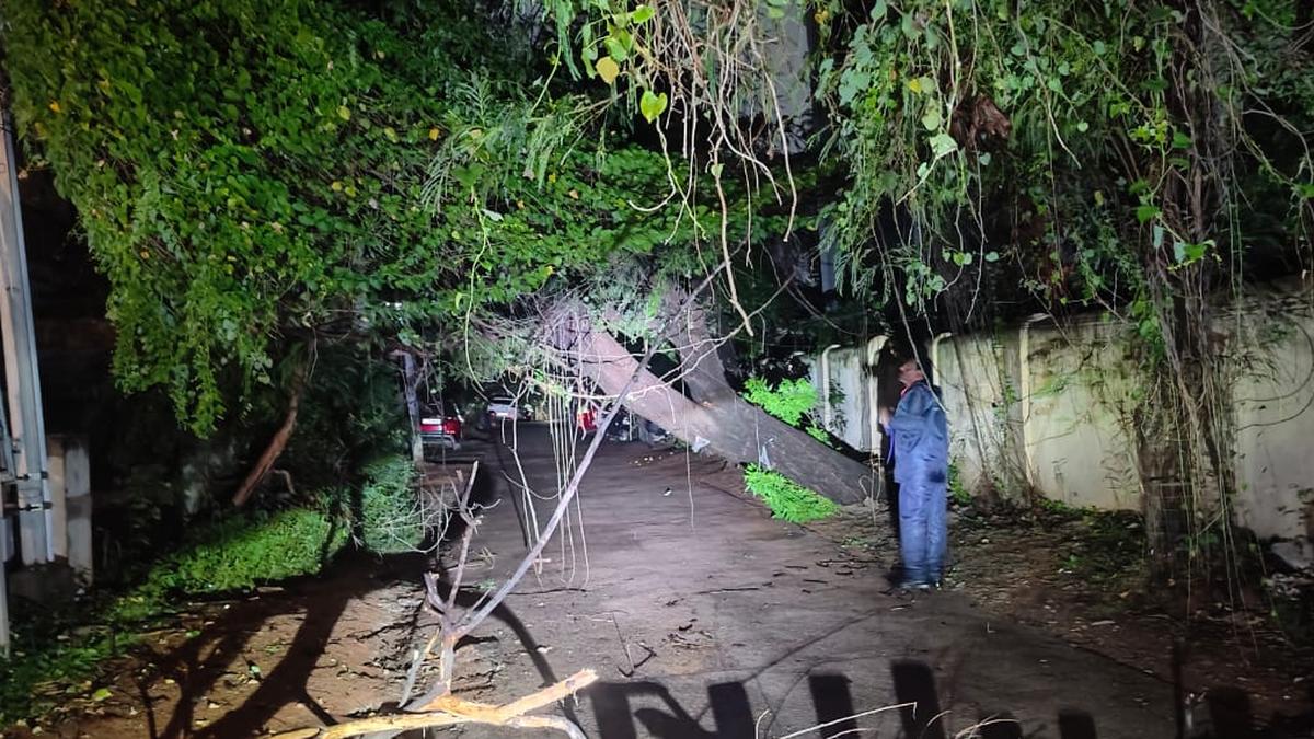 Hyderabad rain July 18 | Power supply disrupted in areas under 270 feeders