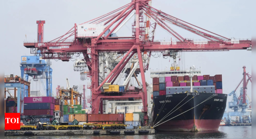 India demands IMO probe into foreign cargo ship incidents | India News - Times of India