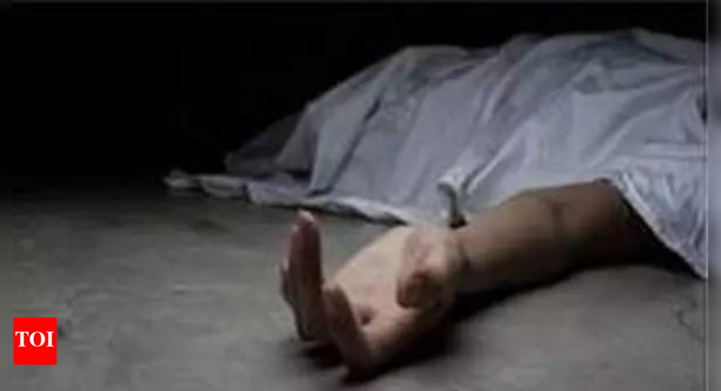 Pak shelling over, J&K border-zone trauma lingers: Report | India News - Times of India