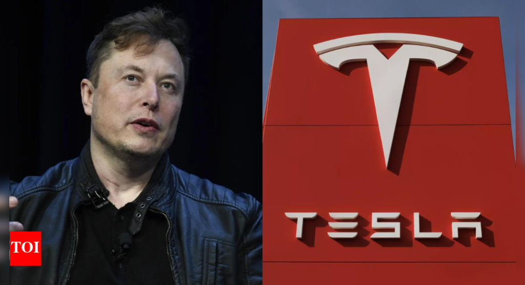 SHUT UP ... says Elon Musk to Tesla Bull Dan Ives for making ‘pay package’ request to Tesla Board - The Times of India