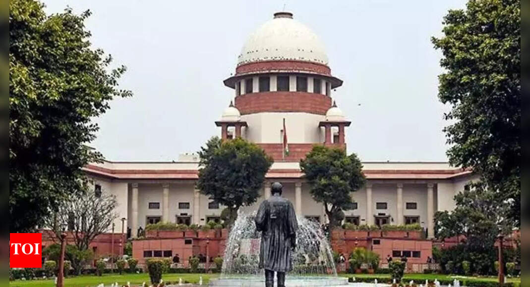 Supreme Court grants interim relief to cartoonist, but says offensive posts a matter of concern | India News - Times of India