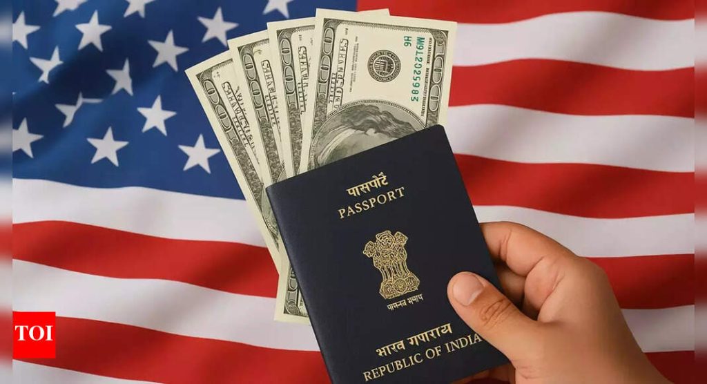 US Visa to add $250 Integrity Fee: What it is, who all it will impact and what will be the cost of the total US visa after this - The Times of India