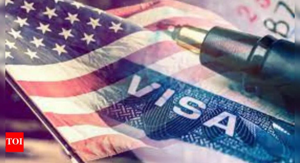 'We will revoke your US Visa and deport you immediately if you Do Not ...': US Embassy in India - The Times of India
