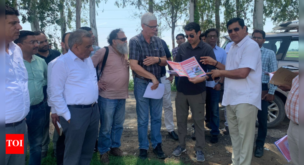 World Bank delegation inspects Saraswati River and recharge system in Haryana | Chandigarh News - Times of India