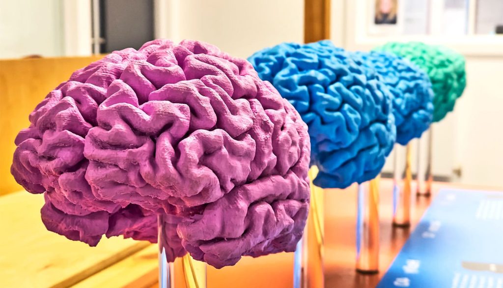 brain-differences-autism-living-person-1600-1.jpg