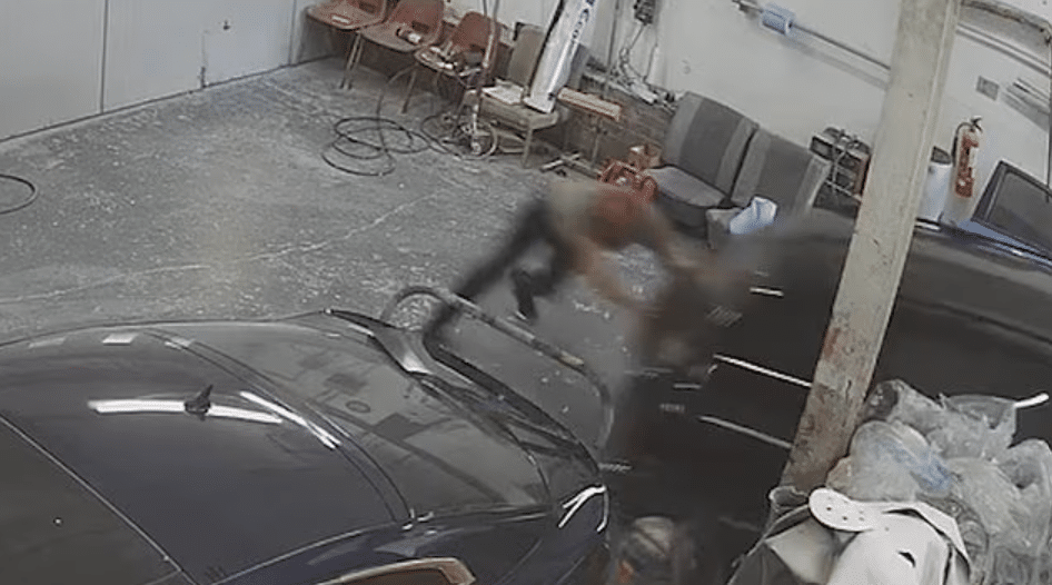 car.png