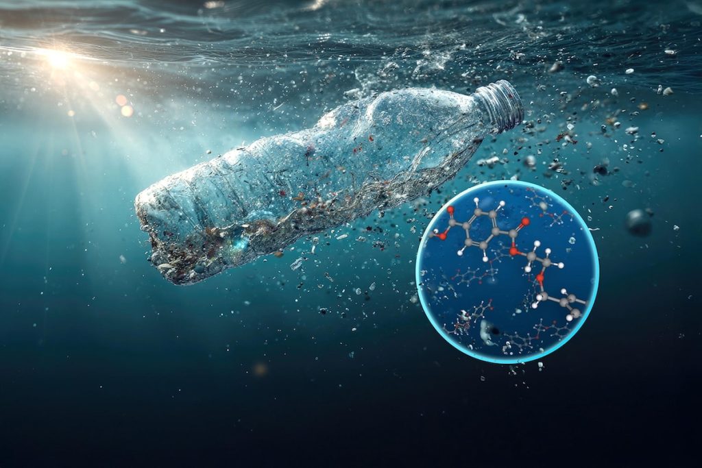 nanoplastics-ocean.jpeg