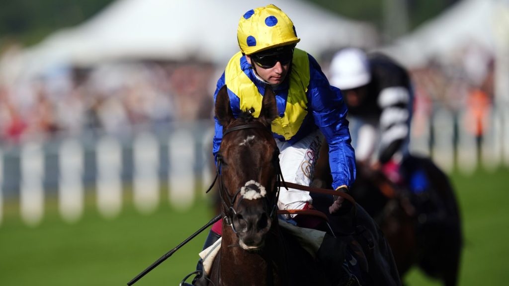 skysports-never-so-brave-ascot_6963493.jpg