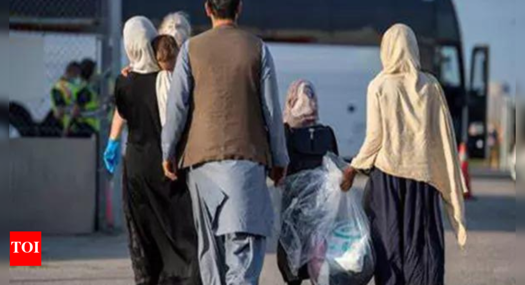 ‘Emergency situation’: Influx of Afghans returning to their country from Iran ahead of deadline; 250,000 already returned in June - Times of India